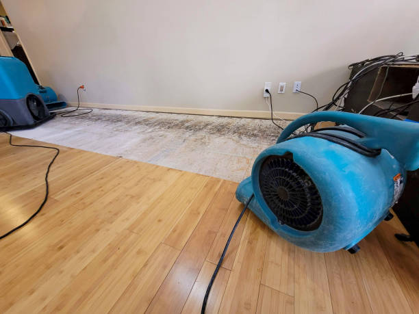Professional Structural Drying technician working in Roxbury Crossing, MA